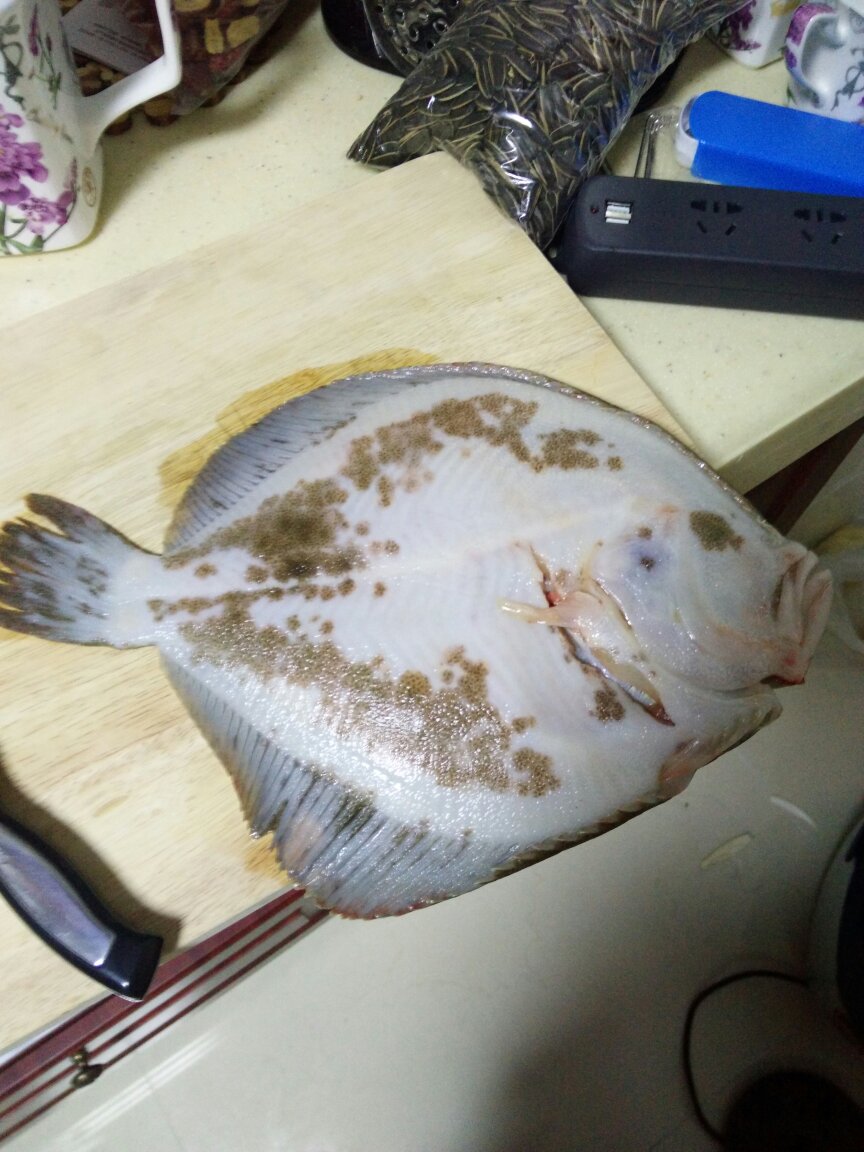 支麽(塑料珠枪算枪支么)